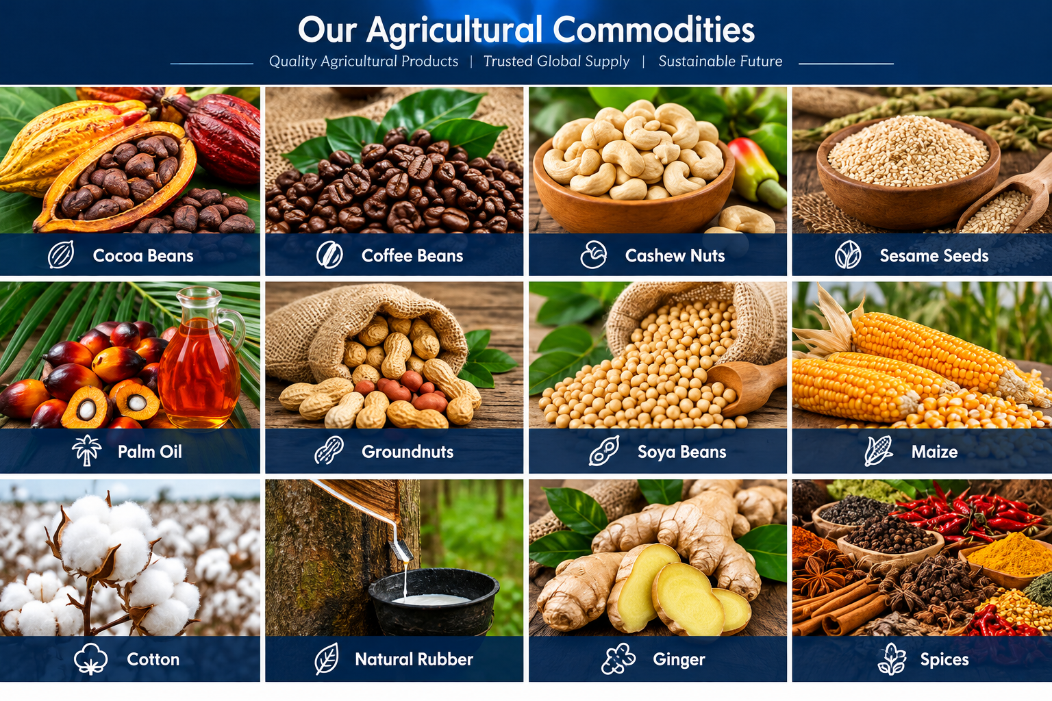 Agricultural Commodities View 1